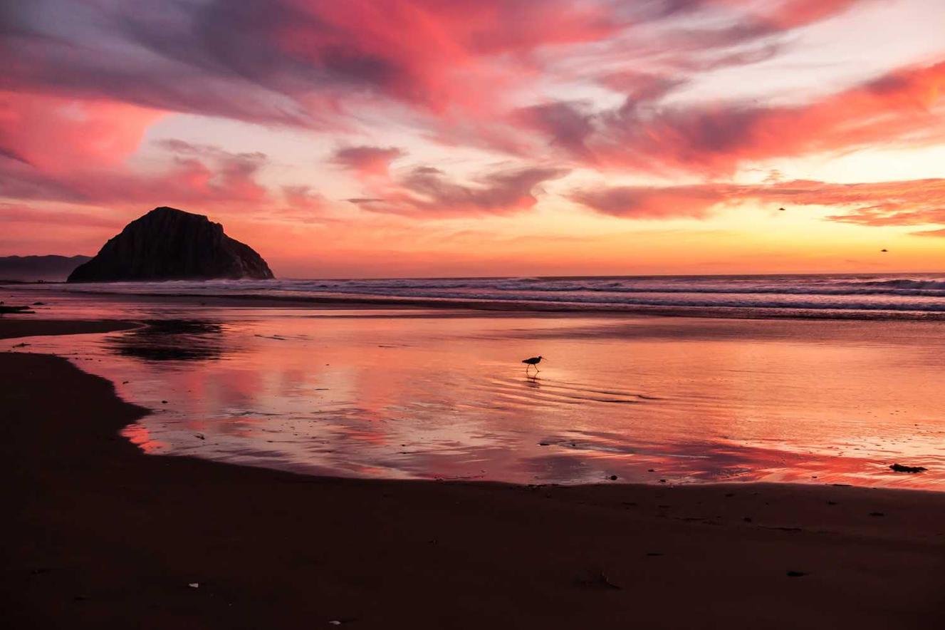 Et non et possimus eaque provident voluptas