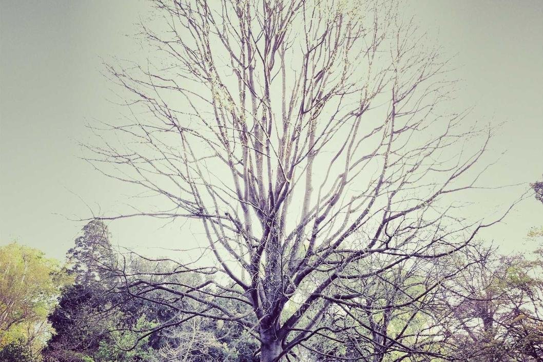 Similique accusamus cum quia voluptate in molestiae sint voluptatum